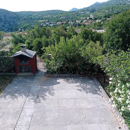 Villa Alexa Cesarica Kültér fotó